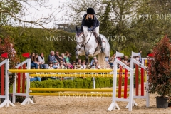 Careless Cricket Sophie PRITSCHAU Radolfzell April 2019