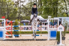 Careless Cricket Sophie PRITSCHAU Radolfzell April 2019