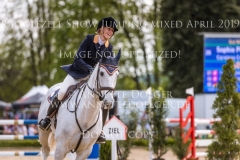 Careless Cricket Sophie PRITSCHAU Radolfzell April 2019