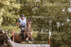 Dash Of Milk Mia MUELLER-RUCHHOLTZ Langenhagen 2019