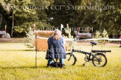 Langenhagen 2019