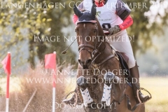 Goldhaers Bolanitas Els DRIEHUYZEN Langenhagen 2019