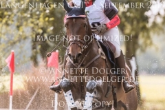 Goldhaers Bolanitas Els DRIEHUYZEN Langenhagen 2019