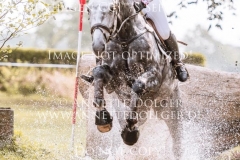 Quantum E Felicia VON BAATH Langenhagen 2019