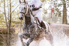 Quantum E Felicia VON BAATH Langenhagen 2019