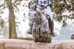 Schwalbensinfonie 2 Chiara SPINSANTI Langenhagen 2019