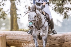 Schwalbensinfonie 2 Chiara SPINSANTI Langenhagen 2019