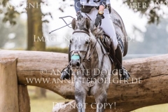 Schwalbensinfonie 2 Chiara SPINSANTI Langenhagen 2019