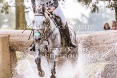 Schwalbensinfonie 2 Chiara SPINSANTI Langenhagen 2019