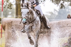 Schwalbensinfonie 2 Chiara SPINSANTI Langenhagen 2019