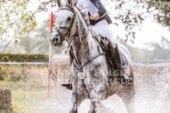 Schwalbensinfonie 2 Chiara SPINSANTI Langenhagen 2019