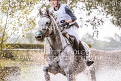 Schwalbensinfonie 2 Chiara SPINSANTI Langenhagen 2019