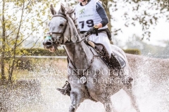 Schwalbensinfonie 2 Chiara SPINSANTI Langenhagen 2019