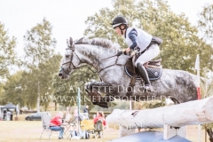 Schwalbensinfonie 2 Chiara SPINSANTI Langenhagen 2019