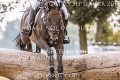 Nikko Brown Johanna ZANTOP Langenhagen 2019