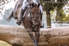 Nikko Brown Johanna ZANTOP Langenhagen 2019