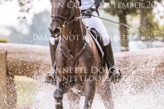 Nikko Brown Johanna ZANTOP Langenhagen 2019