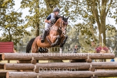 Ballinaguilkey Velvet Niklas BSCHORER Langenhagen 2019