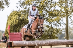 Hippo's Novelle Christin SCHULZ Langenhagen 2019