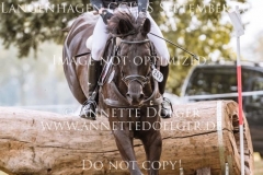 Troy Finn VON SCHMELING Langenhagen 2019