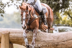 Crossfire 23 Antonia FUERST Langenhagen 2019