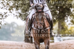 Eddie Weld Beeke JANKOWSKI Langenhagen 2019