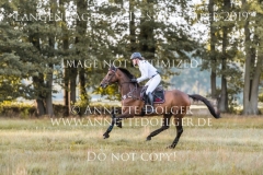 Herr Cooles Classico Beeke JANKOWSKI Langenhagen 2019