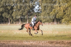 Top Job's Jalisco Elmar LESCH Langenhagen 2019