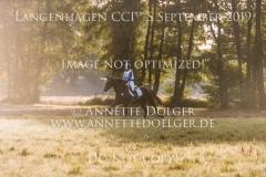 Christina Painmayer Quincy K Langenhagen 2019