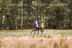 Don Vino Annemiek WIEKEN Langenhagen 2019