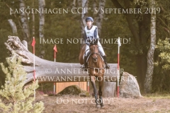 Dash Of Milk Mia MUELLER-RUCHHOLTZ Langenhagen 2019