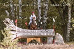 Lexington van de Vinkenhof Mara VAN DE VEN Langenhagen 2019