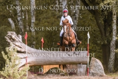 Lexington van de Vinkenhof Mara VAN DE VEN Langenhagen 2019