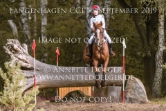 Lexington van de Vinkenhof Mara VAN DE VEN Langenhagen 2019