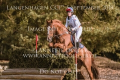 Lexington van de Vinkenhof Mara VAN DE VEN Langenhagen 2019