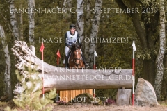 Queeny 88 Nicolai ALDINGER Langenhagen 2019