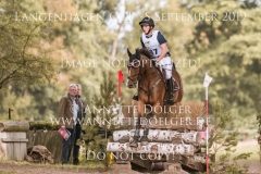 Ballinaguilkey Velvet Niklas BSCHORER Langenhagen 2019