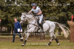 Chico van het Gavershof Z Jarno VERWIMP Langenhagen 2019