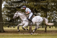 Chico van het Gavershof Z Jarno VERWIMP Langenhagen 2019