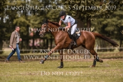 Koenigsblauer XX Charlotte VORNHOLT Langenhagen 2019