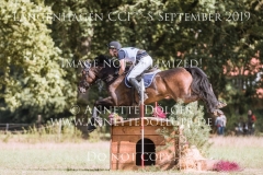 Palm Beach Falk-Filip-Finn WESTERICH Langenhagen 2019