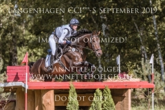 Sir Scotty Ann-Catrin BIERLEIN Langenhagen 2019