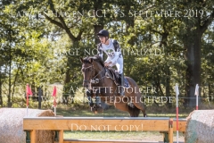 Cheyenne Blue 6 Tommi KROLO Langenhagen 2019