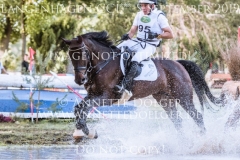 Dekorateurin Baumeister Cord MYSEGAES Langenhagen 2019