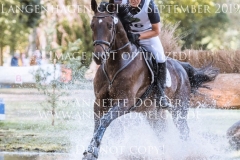 Huaso Fabian HAYESSEN Langenhagen 2019