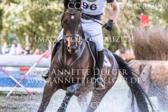 Huaso Fabian HAYESSEN Langenhagen 2019