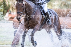 Quadronja Katharina WUTHE Langenhagen 2019