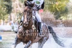 Cambion Elisa ABECK Langenhagen 2019