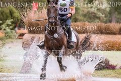 Polartanz Felix ETZEL