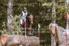 Daily's Starlight Chayenne PETERS Langenhagen 2019